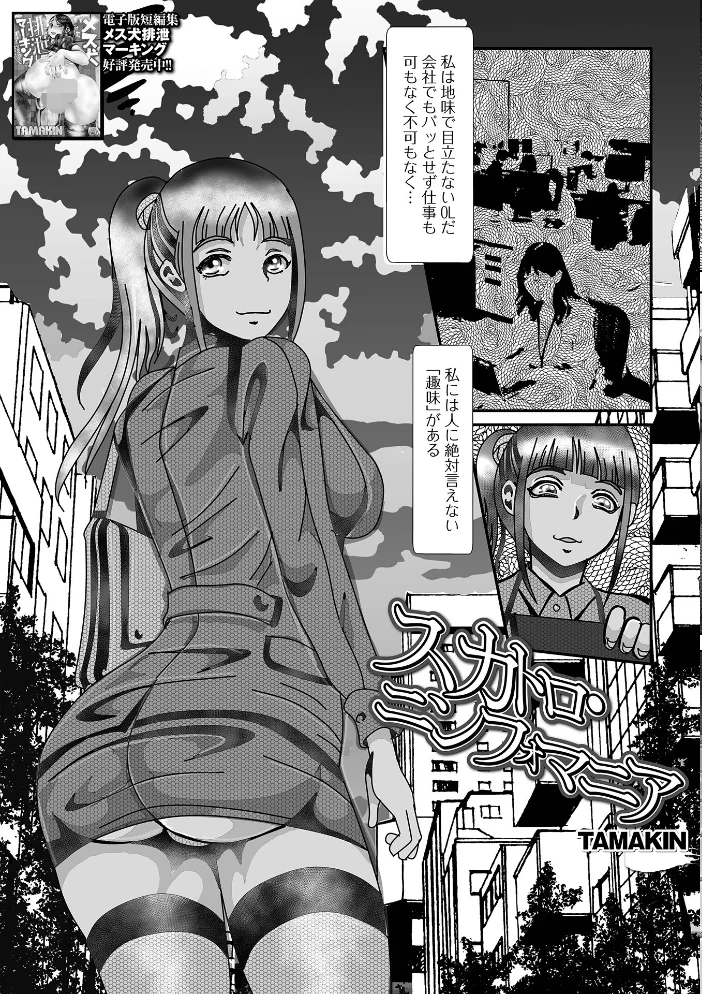 黄金のソナタXXXその二十五 【YOSHITORA 早乙女もんどのすけ かりおね 酢味噌の人 いトう 成瀬川あおば TAMAKIN 一水社編集部 こいずみけー】 サンプル画像