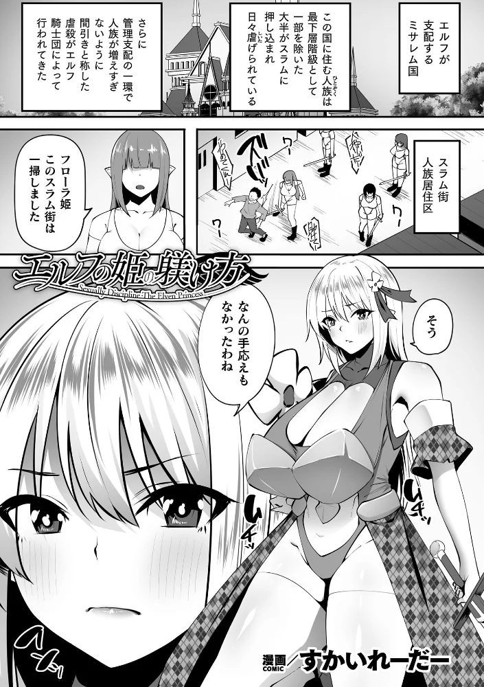 エルフの姫の躾け方【単話】（単話） 【すかいれーだー】 サンプル画像