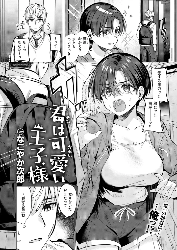 君は可愛い王子様(単話) 【なごやか次郎】 サンプル画像