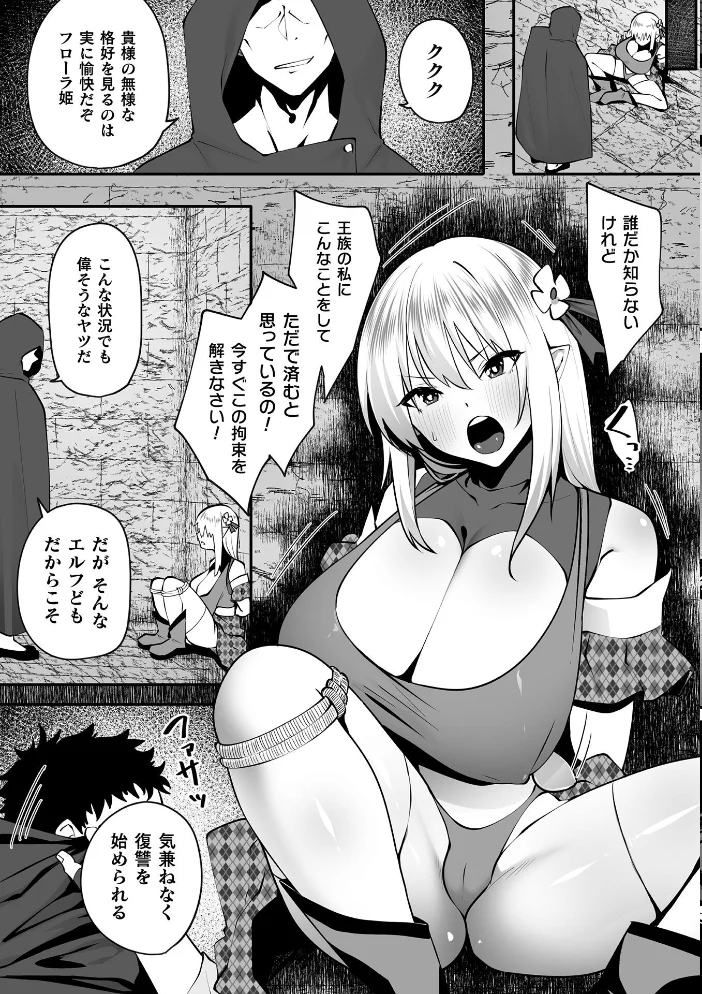 エルフの姫の躾け方【単話】（単話） 【すかいれーだー】 サンプル画像